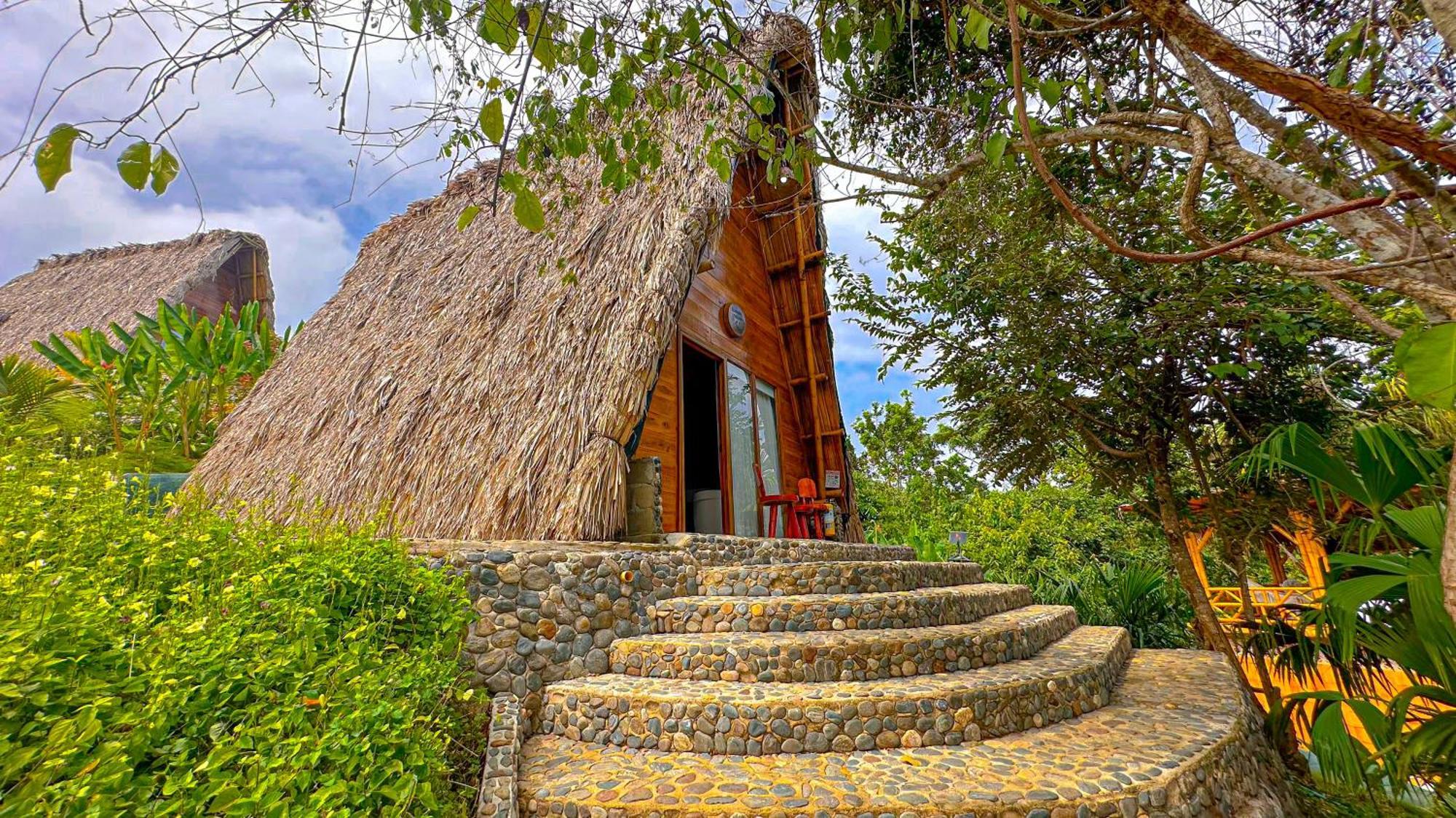 Готель Ecohabs Bamboo Parque Tayrona - Dentro Del Pnn Tayrona Ель-Зайно Екстер'єр фото
