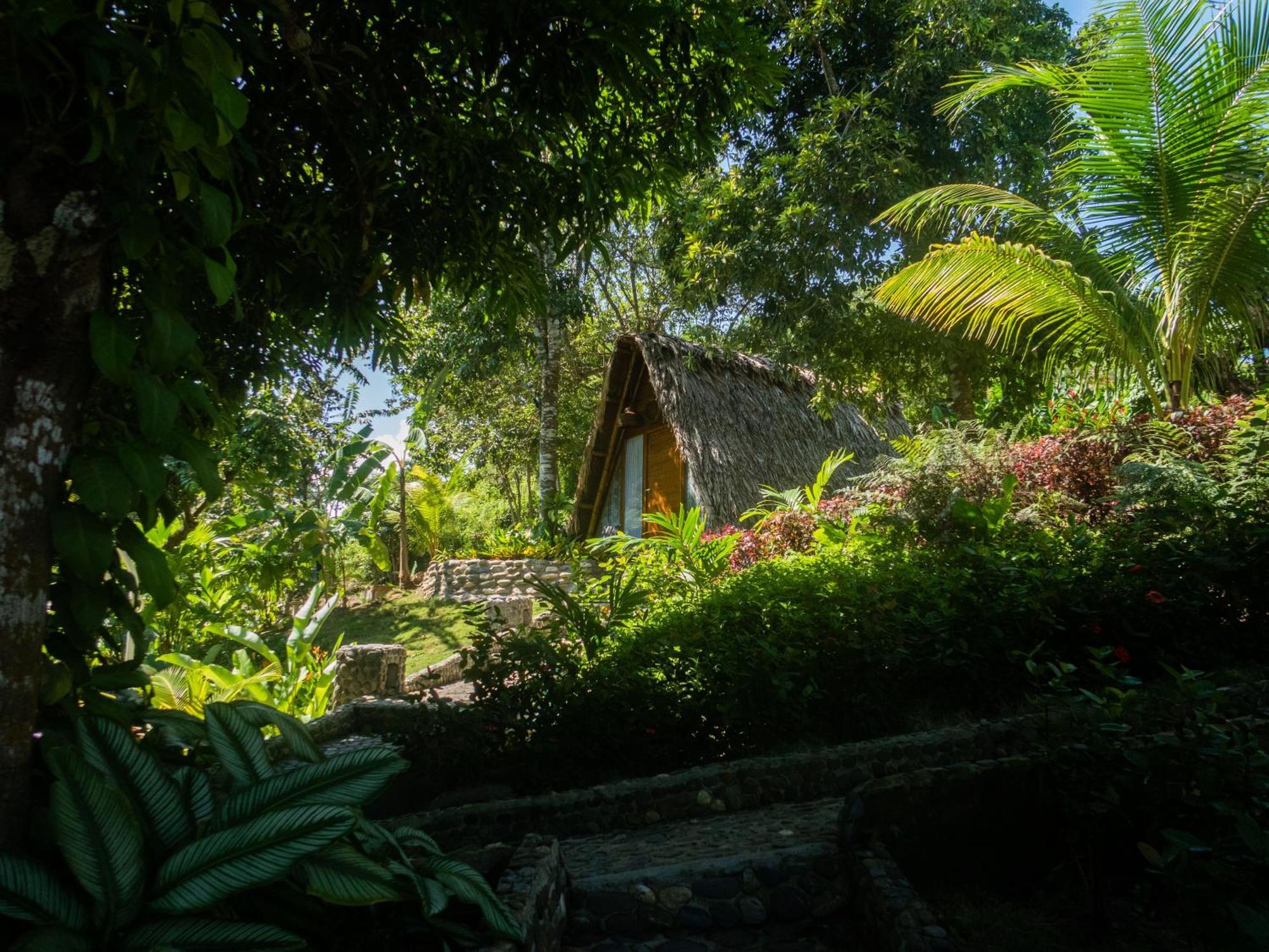 Готель Ecohabs Bamboo Parque Tayrona - Dentro Del Pnn Tayrona Ель-Зайно Екстер'єр фото