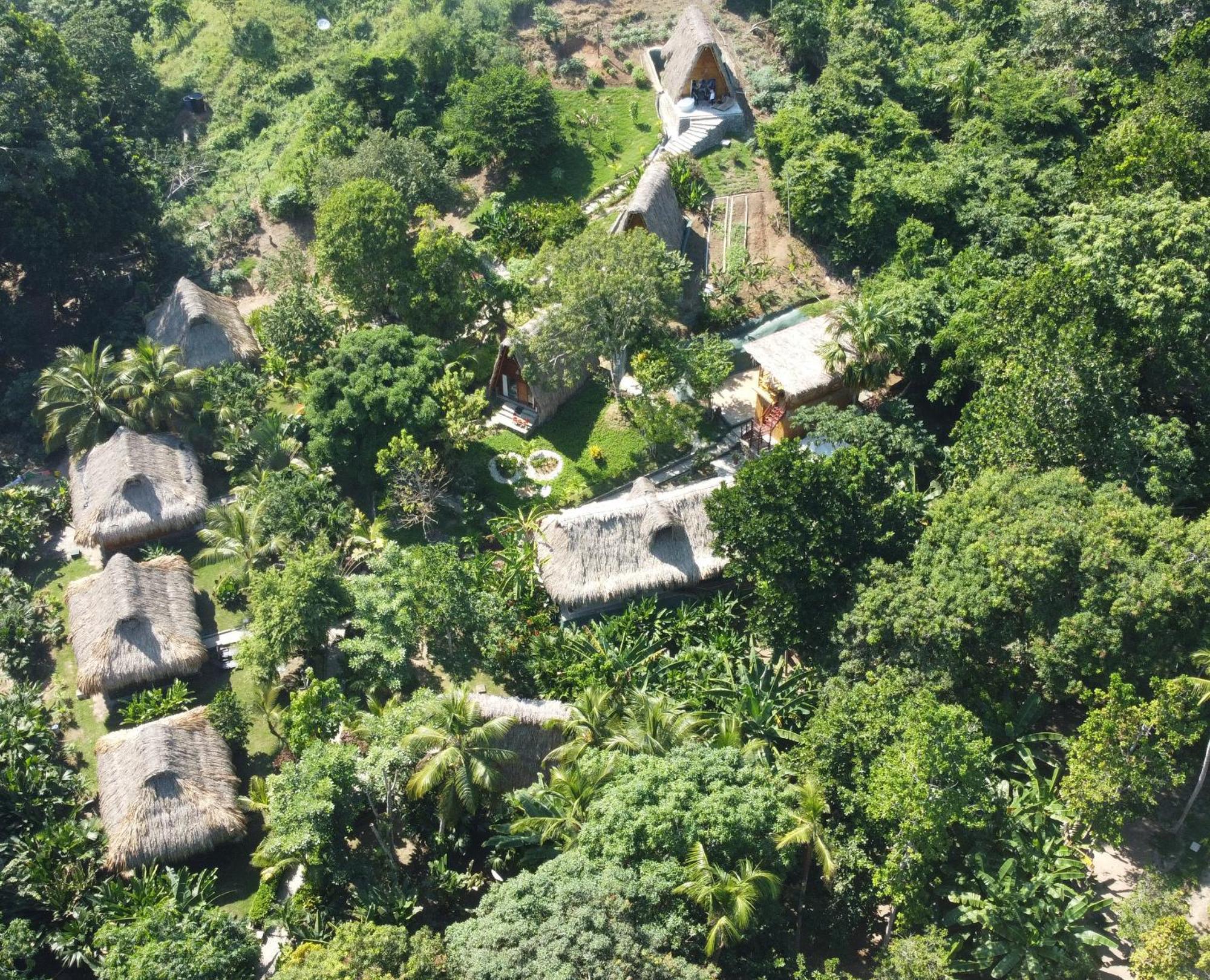 Готель Ecohabs Bamboo Parque Tayrona - Dentro Del Pnn Tayrona Ель-Зайно Екстер'єр фото